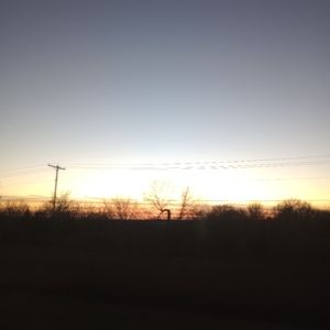 Meet your Posher, Maddie